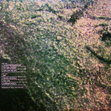 Load image into Gallery viewer, Quill (2) | Quill