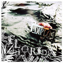 Load image into Gallery viewer, Diplo | Florida