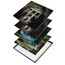Load image into Gallery viewer, Porcupine Tree | Coma Divine