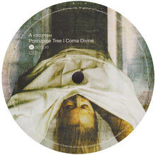 Load image into Gallery viewer, Porcupine Tree | Coma Divine