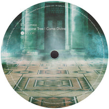 Load image into Gallery viewer, Porcupine Tree | Coma Divine