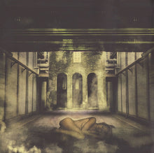 Load image into Gallery viewer, Porcupine Tree | Coma Divine