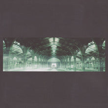 Load image into Gallery viewer, Porcupine Tree | Coma Divine