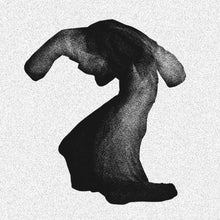 Load image into Gallery viewer, Yeasayer | Fragrant World (New)