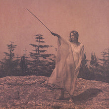 Load image into Gallery viewer, Unknown Mortal Orchestra | II (New)