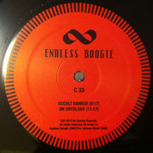 Load image into Gallery viewer, Endless Boogie | Long Island (New)
