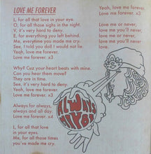 Load image into Gallery viewer, The Black Angels | Indigo Meadow (New)