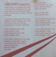 Load image into Gallery viewer, The Black Angels | Indigo Meadow (New)