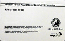 Load image into Gallery viewer, The Black Angels | Indigo Meadow (New)