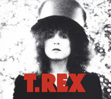 Load image into Gallery viewer, T. Rex | The Slider (New)