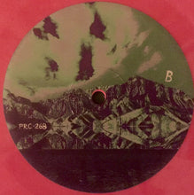 Load image into Gallery viewer, Of Montreal | Lousy With Sylvianbriar