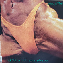 Load image into Gallery viewer, Butthole Surfers | Rembrandt Pussyhorse (New)