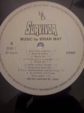 Load image into Gallery viewer, Brian May (2) | Survivor