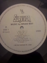 Load image into Gallery viewer, Brian May (2) | Survivor