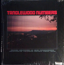 Load image into Gallery viewer, Silver Jews | Tanglewood Numbers (New)