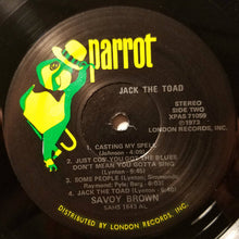 Load image into Gallery viewer, Savoy Brown | Jack The Toad