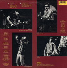 Load image into Gallery viewer, The Beat Farmers | Van Go