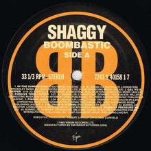 Load image into Gallery viewer, Shaggy | Boombastic