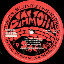 Load image into Gallery viewer, Diamond D | Stunts, Blunts, & Hip Hop (New)