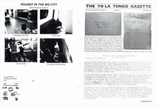 Load image into Gallery viewer, Yo La Tengo | Extra Painful (New)