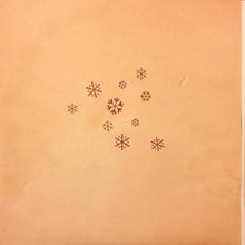 Load image into Gallery viewer, Various | This Warm December - A Brushfire Holiday Vol. 1 (New)