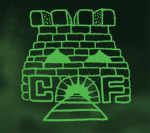 Load image into Gallery viewer, King Gizzard And The Lizard Wizard | I'm In Your Mind Fuzz (New)