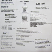 Load image into Gallery viewer, King Gizzard And The Lizard Wizard | I'm In Your Mind Fuzz (New)