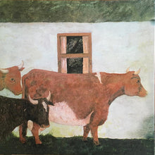 Load image into Gallery viewer, Vashti Bunyan | Just Another Diamond Day (New)