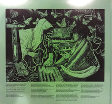 Load image into Gallery viewer, Panda Bear | Panda Bear Meets The Grim Reaper (New)
