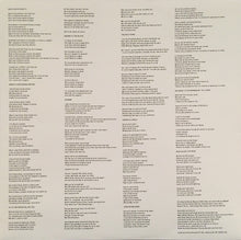 Load image into Gallery viewer, Sufjan Stevens | Carrie & Lowell (New)