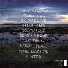 Load image into Gallery viewer, Murder By Death | Big Dark Love