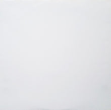 Load image into Gallery viewer, The Black Keys | Thickfreakness (New)