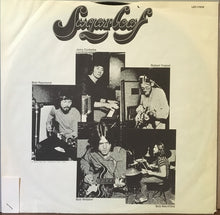 Load image into Gallery viewer, Sugarloaf | Spaceship Earth