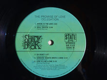 Load image into Gallery viewer, Delegation | The Promise Of Love