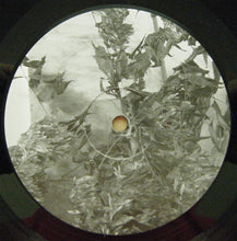 Load image into Gallery viewer, Deerhoof | The Runners Four