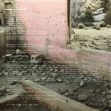Load image into Gallery viewer, Kurt Vile | B'lieve I'm Goin Down... (New)