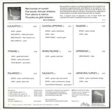 Load image into Gallery viewer, John Ramo | Polarities