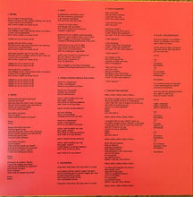 Load image into Gallery viewer, King Gizzard And The Lizard Wizard | Paper Mâché Dream Balloon (New)