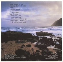 Load image into Gallery viewer, Bonnie "Prince" Billy | The Letting Go (New)