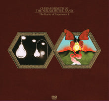 Load image into Gallery viewer, Chris Forsyth & The Solar Motel Band | The Rarity Of Experience (New)