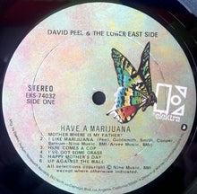 Load image into Gallery viewer, David Peel & The Lower East Side | Have A Marijuana