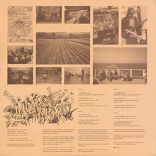 Load image into Gallery viewer, Träd, Gräs Och Stenar | Mors Mors (New)