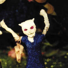 Load image into Gallery viewer, Bonnie "Prince" Billy | More Revery