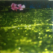 Load image into Gallery viewer, Bonnie "Prince" Billy | More Revery