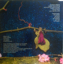 Load image into Gallery viewer, Bonnie "Prince" Billy | More Revery