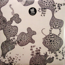 Load image into Gallery viewer, The Shins | Wincing The Night Away (New)