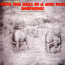 Load image into Gallery viewer, King Tubby | Two Big Bull In A One Pen Dubwise (New)