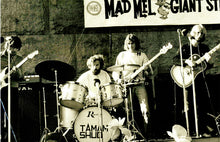 Load image into Gallery viewer, Tamam Shud | Evolution (New)