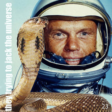 Load image into Gallery viewer, The Brian Jonestown Massacre | Third World Pyramid (New)