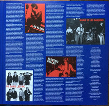 Load image into Gallery viewer, Various | Les Punks: The French Connection (The First Wave Of French Punk 1977-80) (New)
